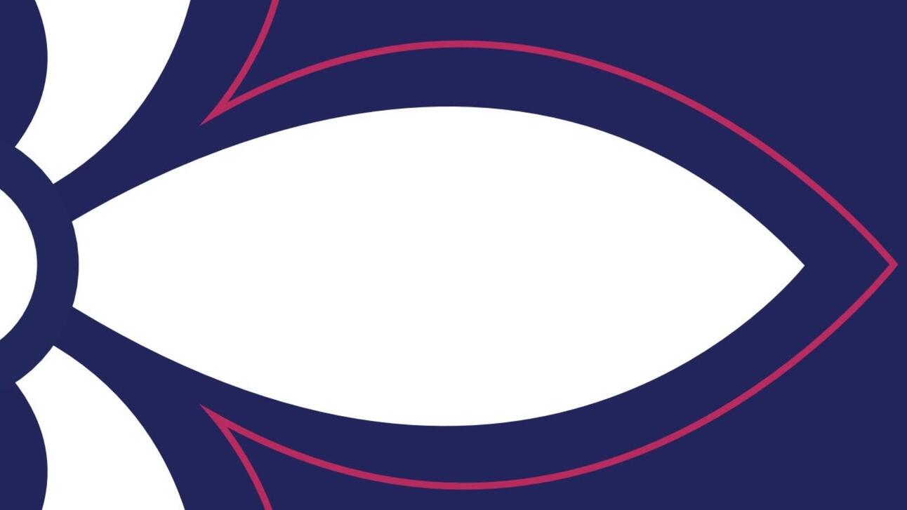 ⚡️ A New STL County Flag Unveiled