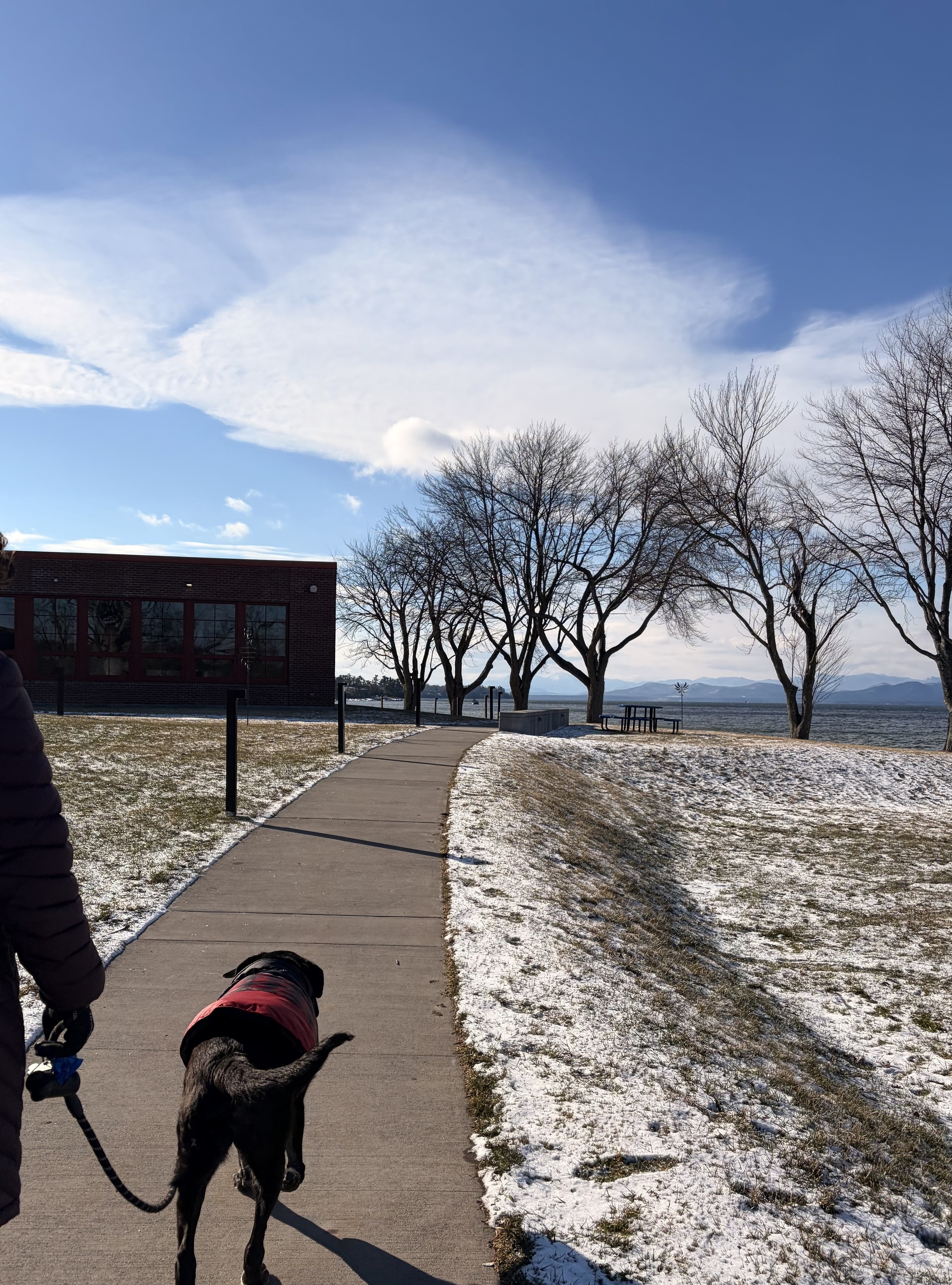 Monday, January 19th (MLK Day)