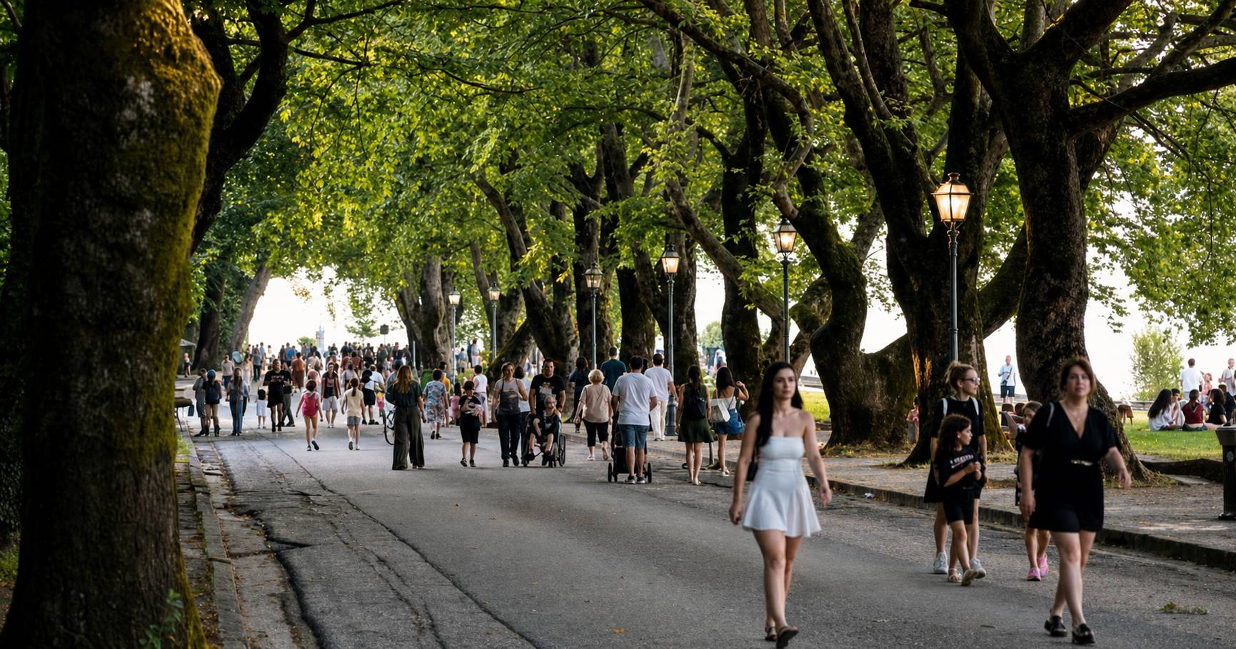 Ο παραλίμνιος δρόμος στα Ιωάννινα