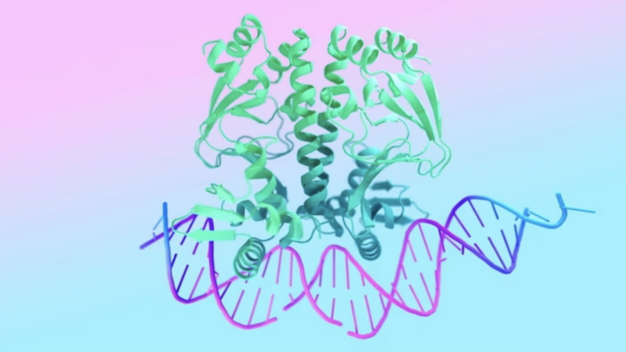 Google DeepMind unveils AI model for living cells