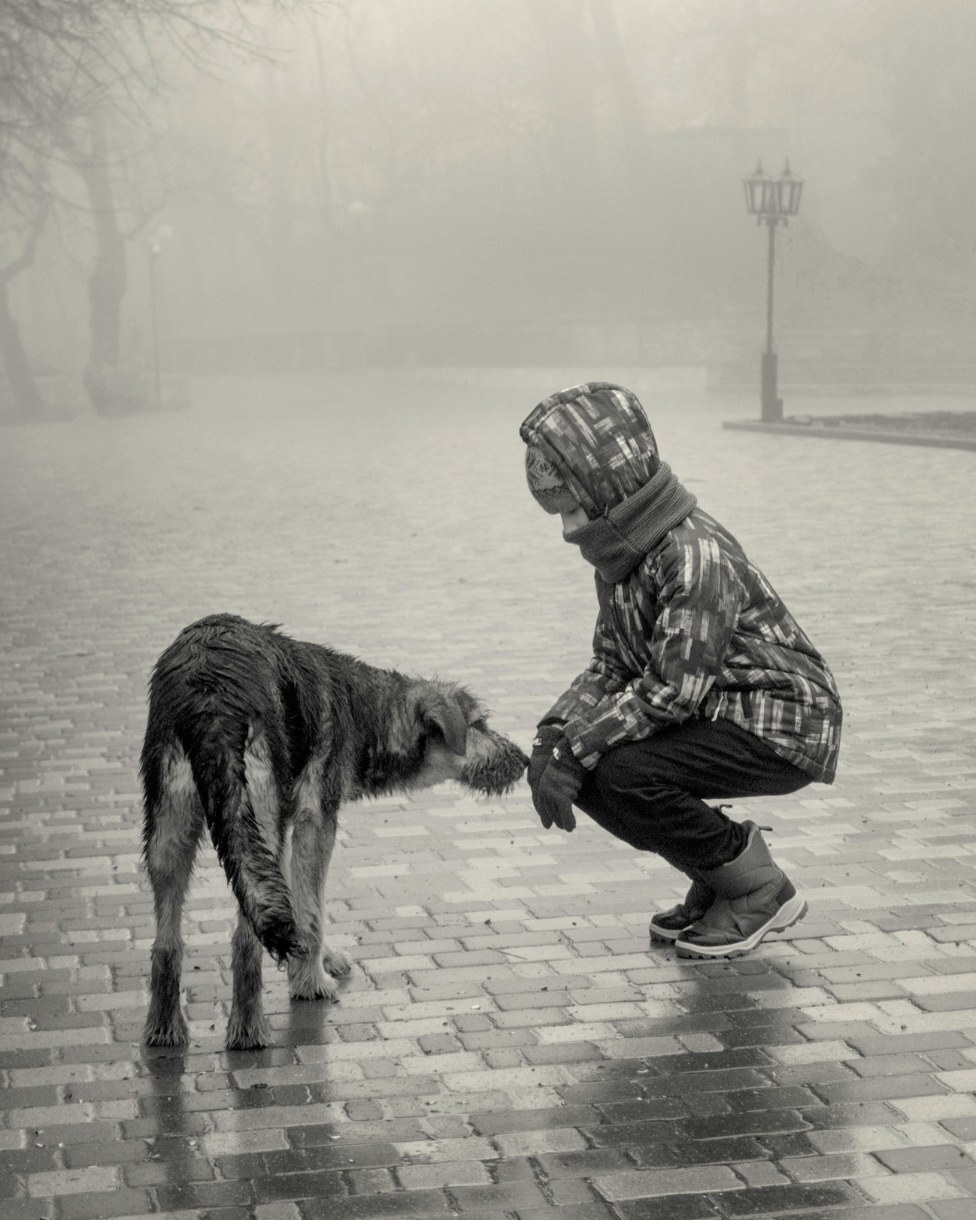 A child in a hooded coat crouching to greet a wet scruffy dog on a misty cobbled street