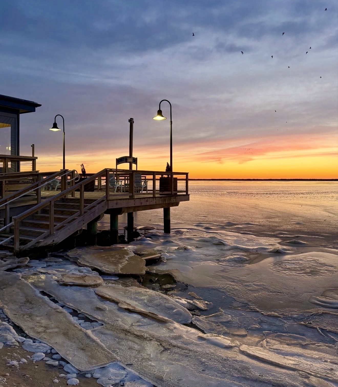 Where to Be in OCMD ~ February 15 - February 21 , 2026     