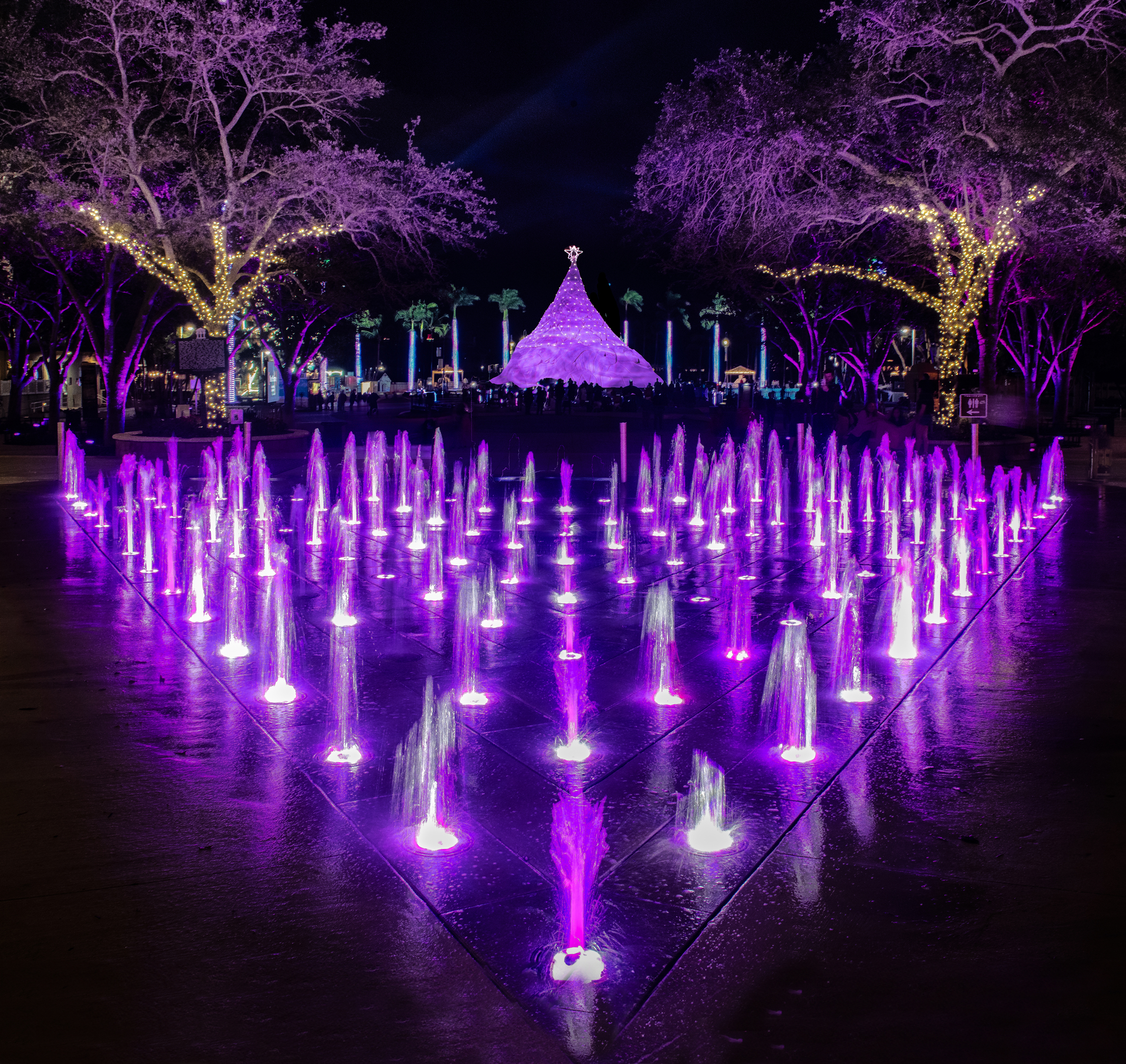 Palm Beach County Holiday Elegance