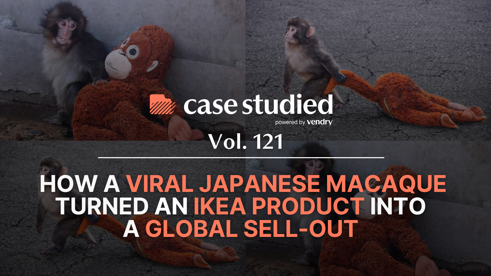 Vol. 121 IKEA: Punch and the plushie š
