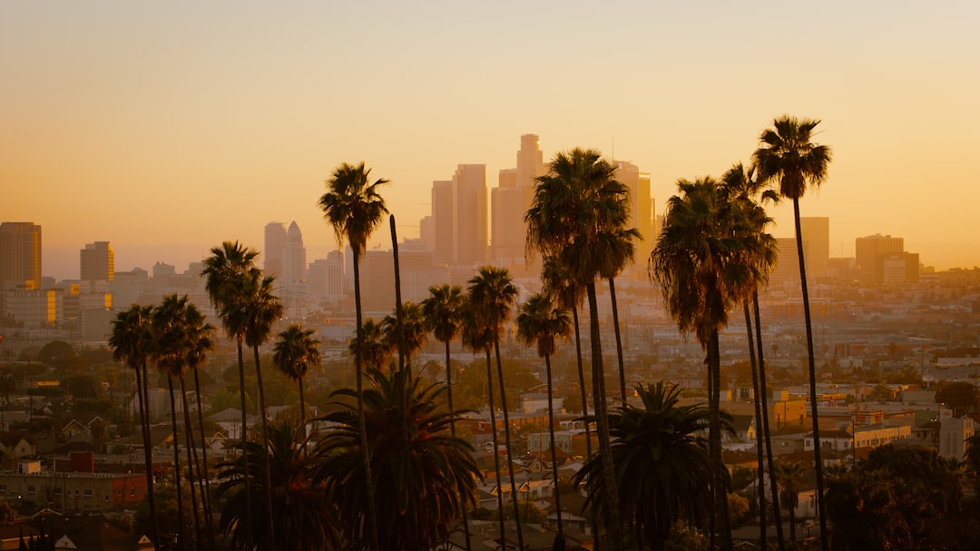 Los Angeles to Amsterdam for $396?