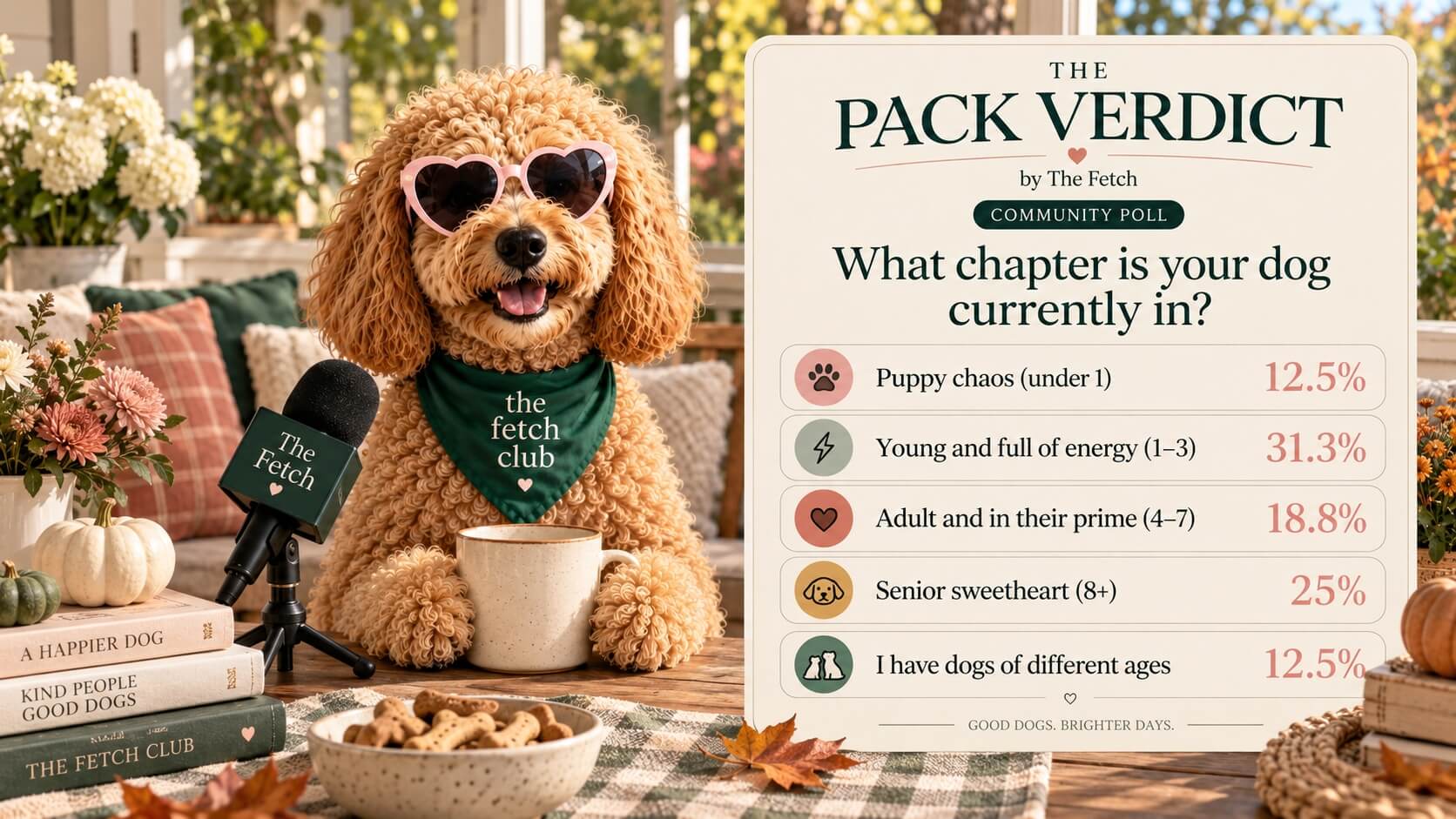 The Pack Verdict results showing what chapter readers’ dogs are currently in