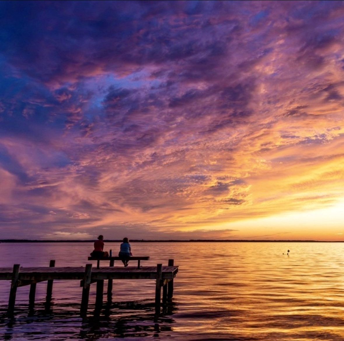 Where to Be in OCMD ~ November 16 - November 22 , 2025          