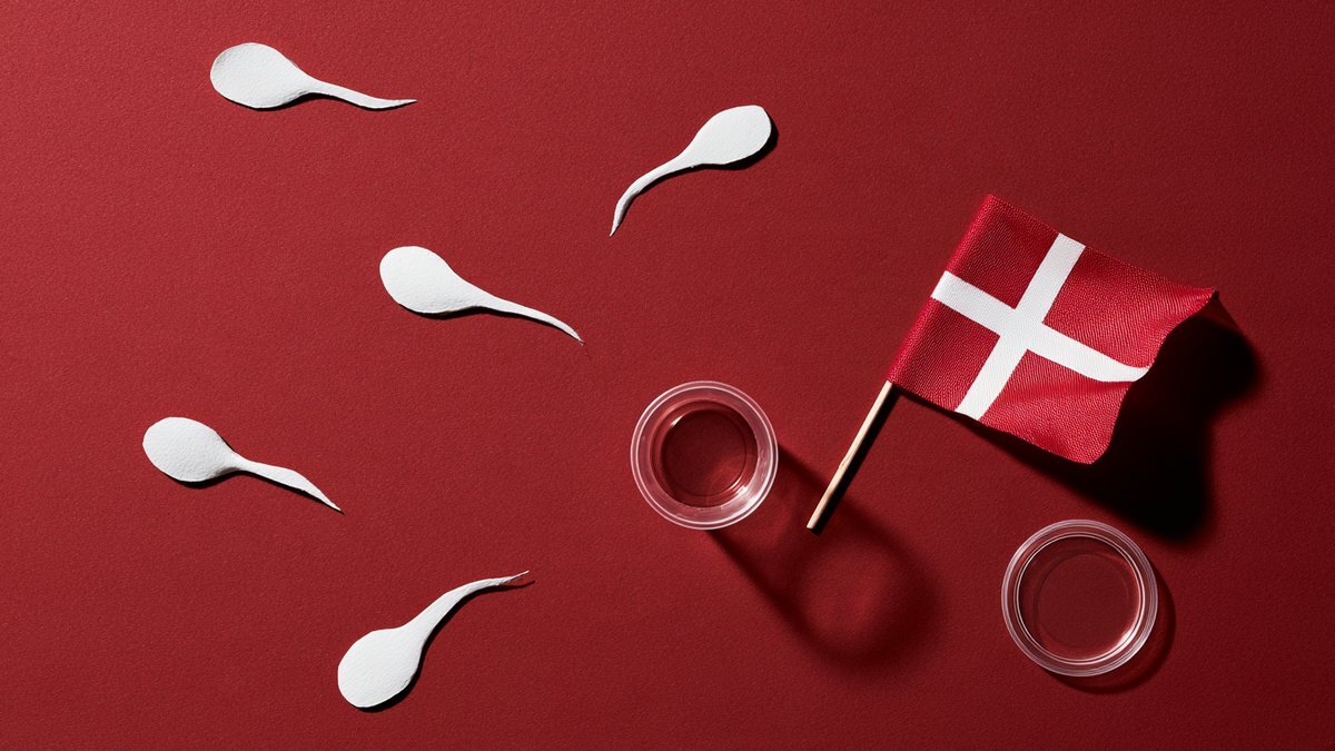 Paper sperm cutouts swimming toward a Danish flag on a red background