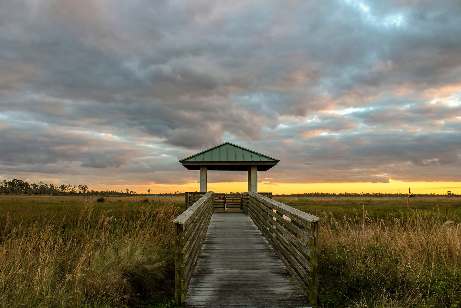 Pine Glades Natural Area sunset spot