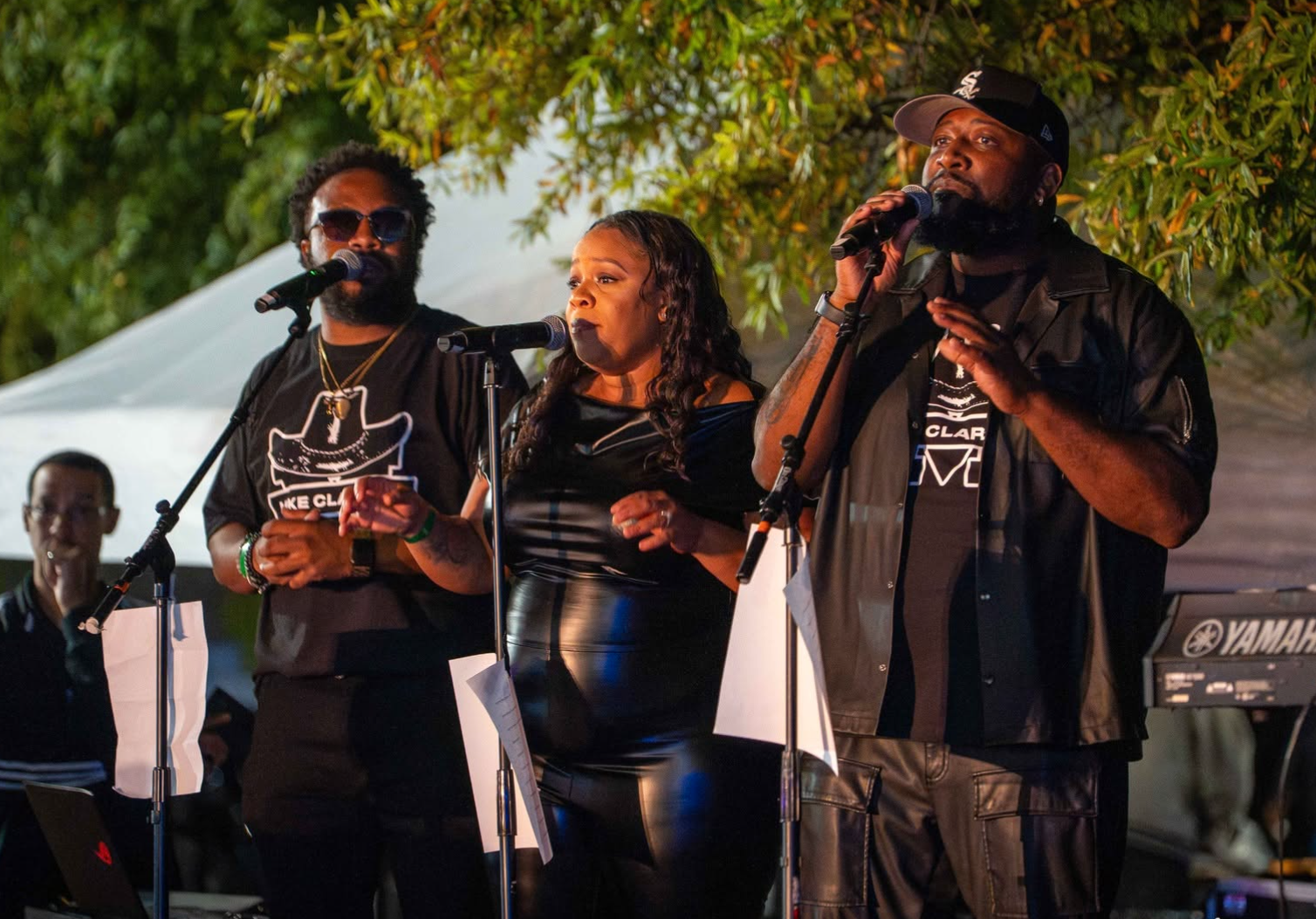 3rd Annual Blues on Main in Forest Park