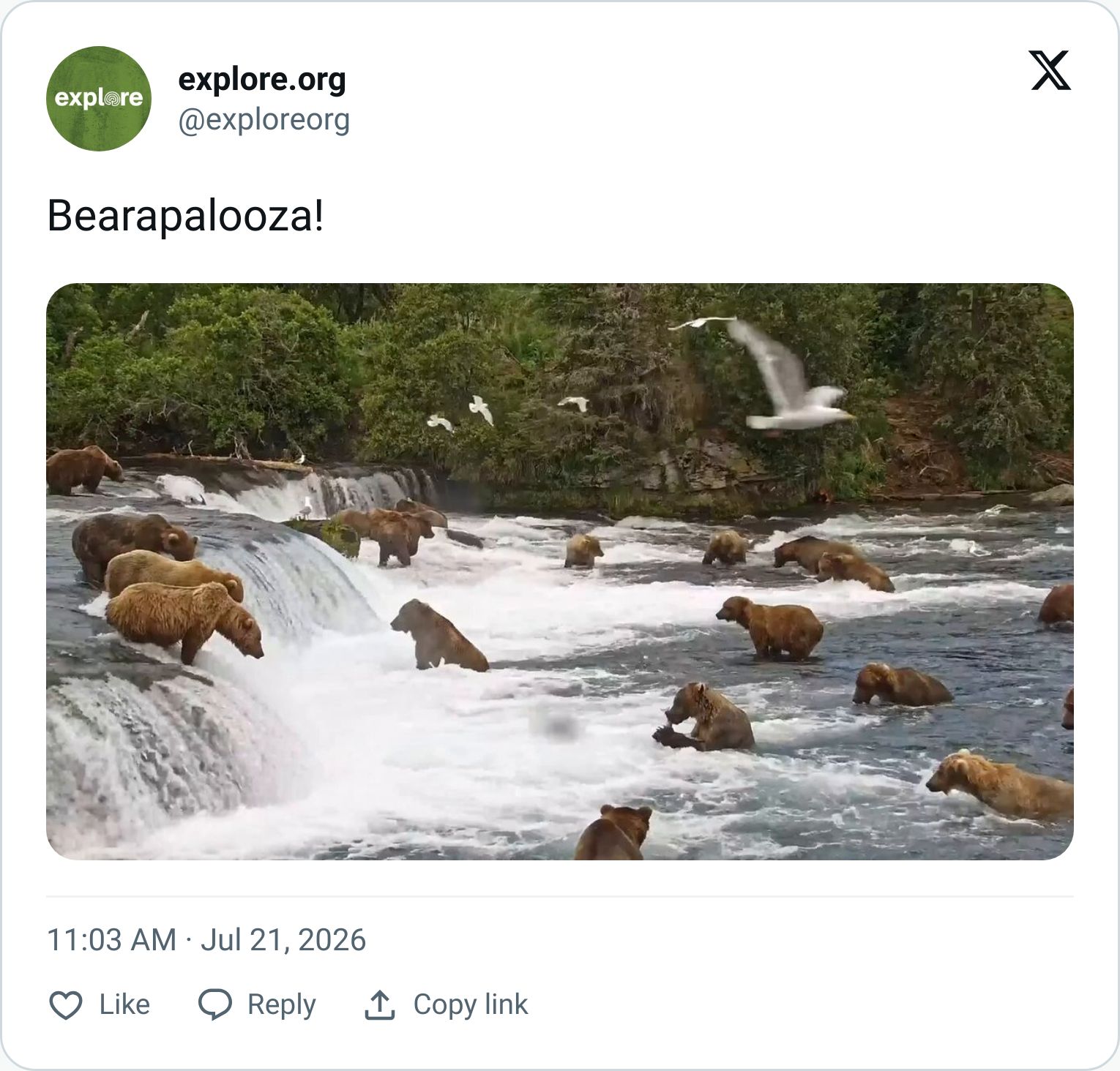 Tweet screenshot