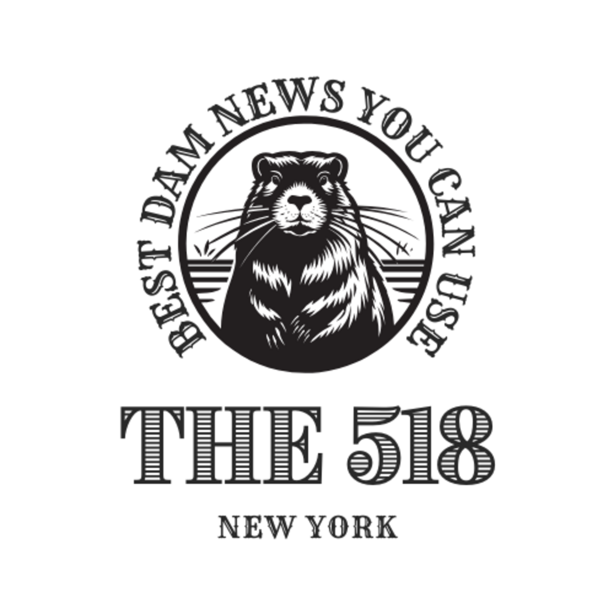 About Us | The 518 Newsletter
