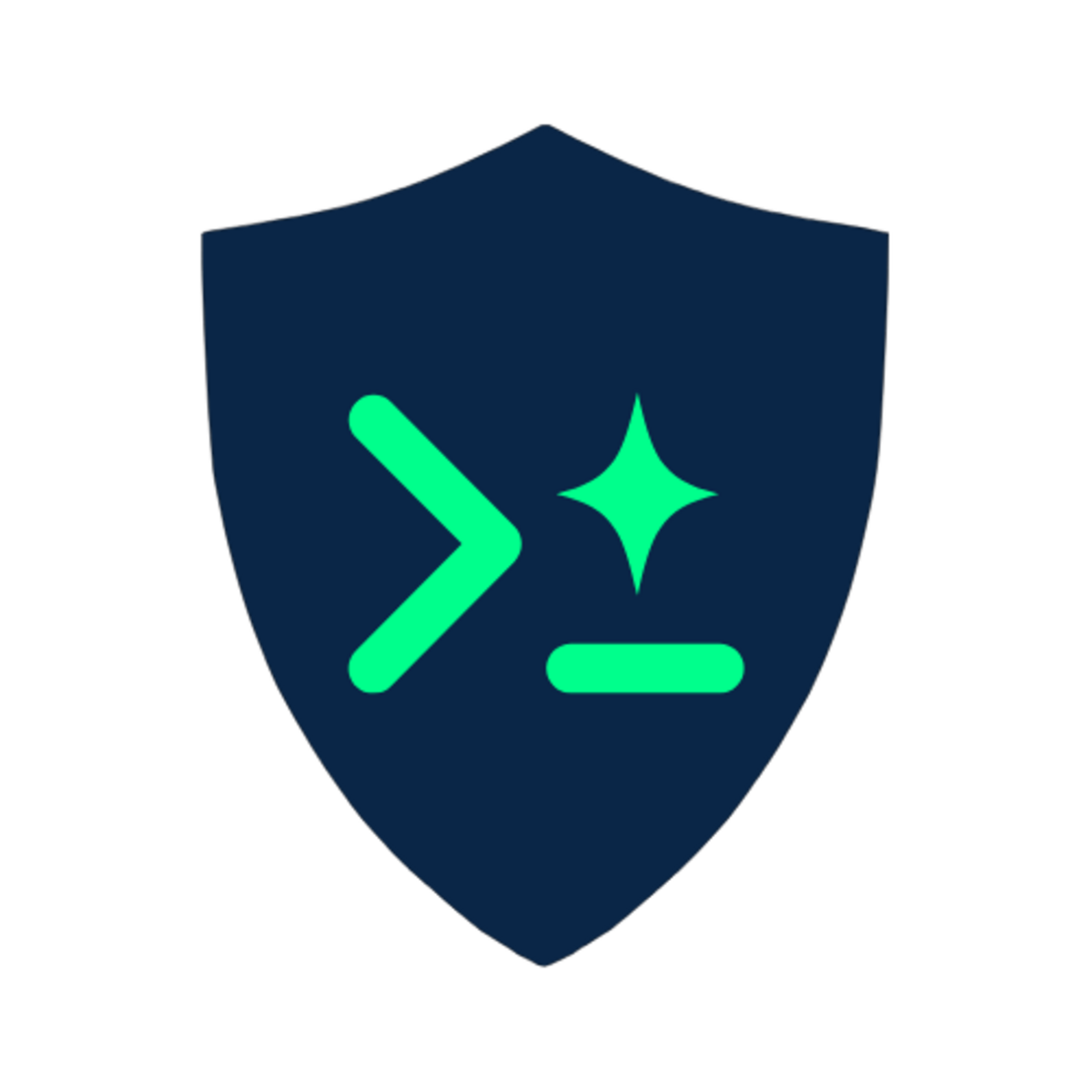 Secure Prompt Team