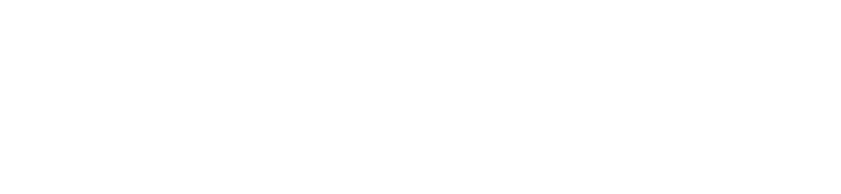 Mindvestor Logo