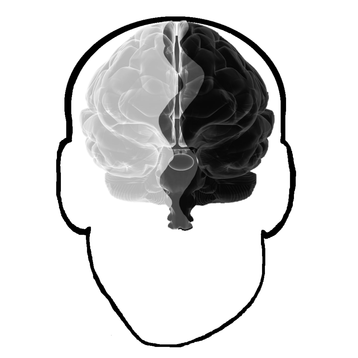 The Gray Matter Lifting Newsletter-logo