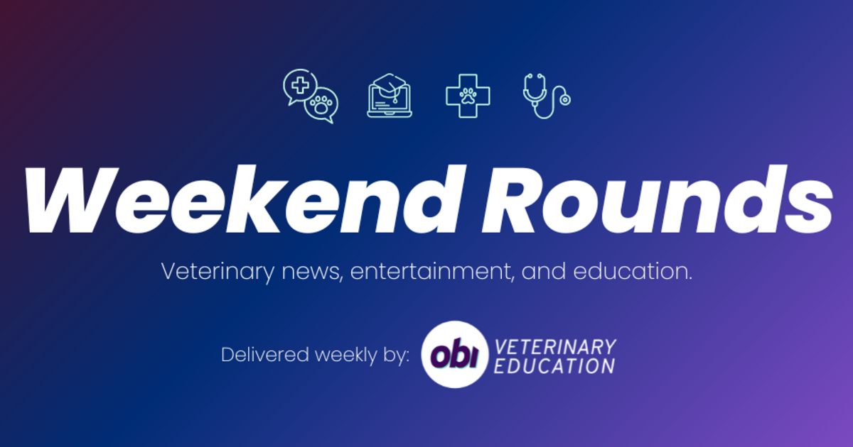 Weekend Rounds - 06.25