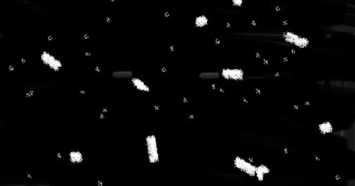 Book 1 Chapter 6 Part 1