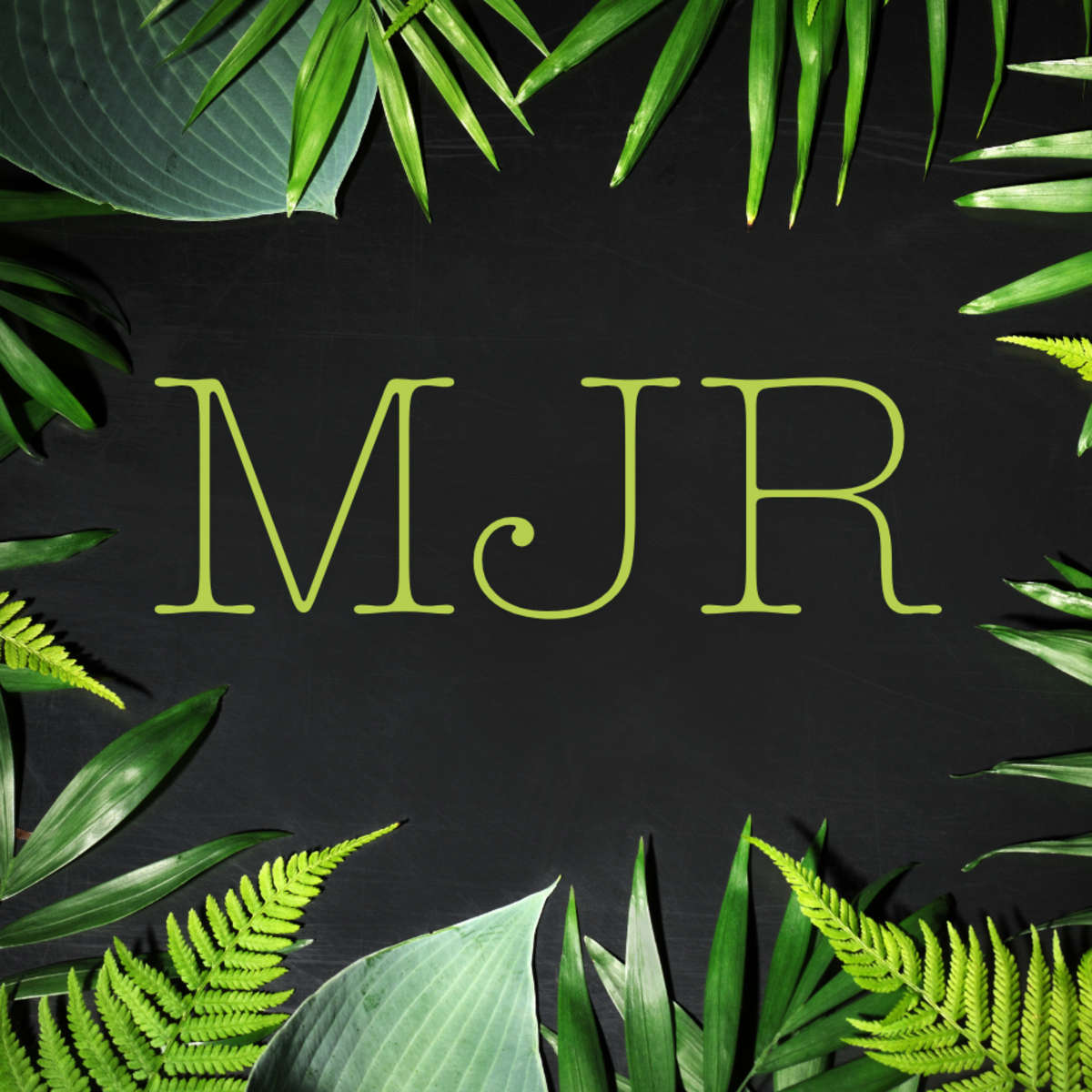 My Jungle Rules
