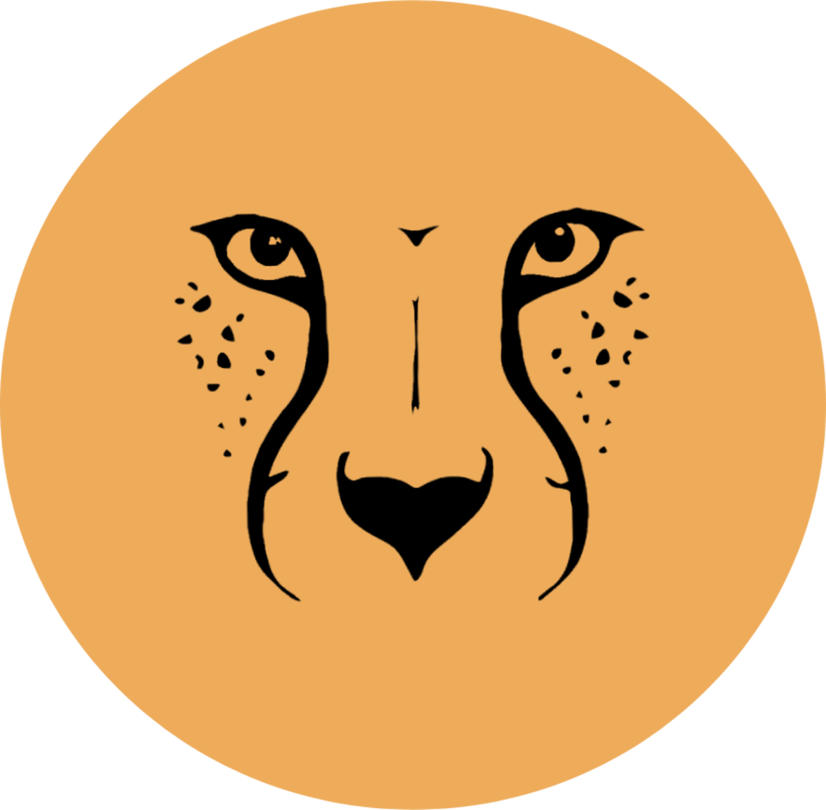 Cheetah Sports