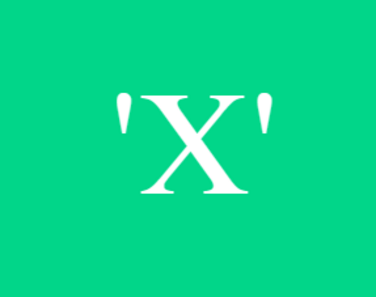Business 'X'