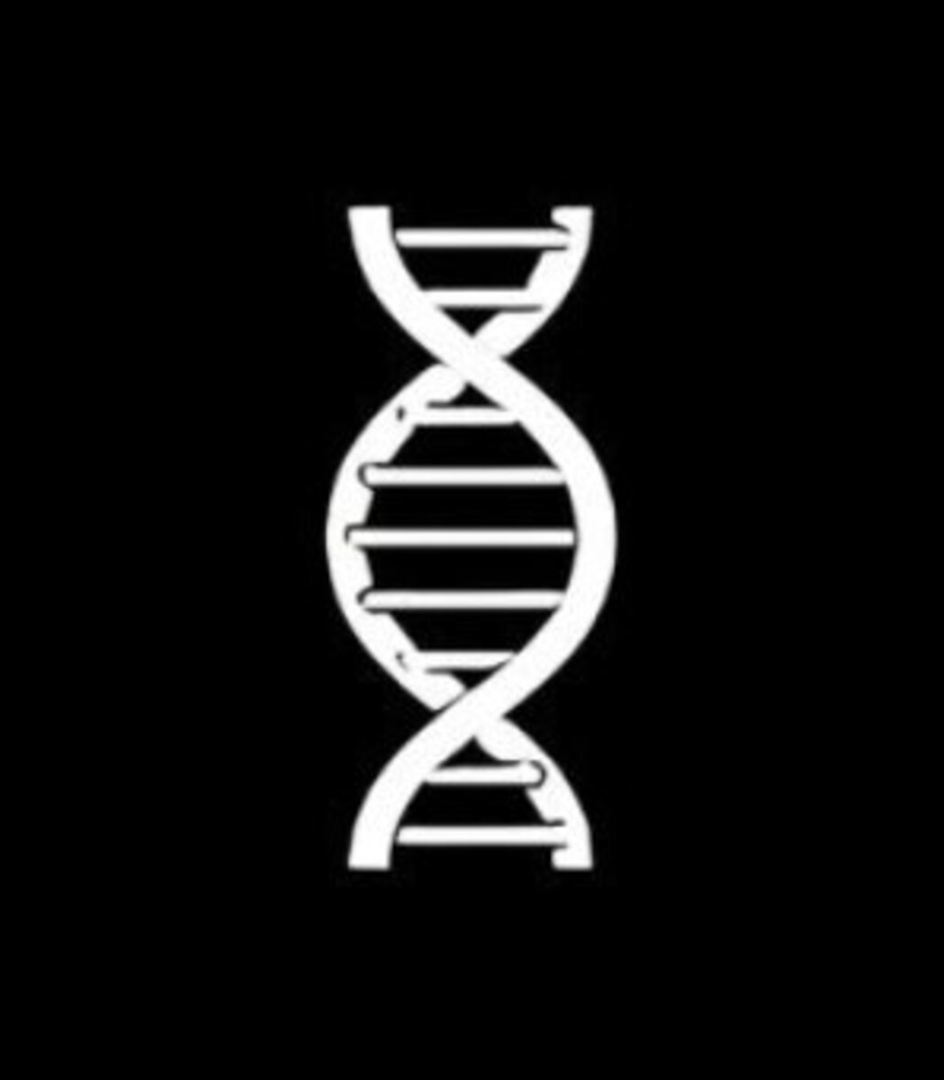 Longevity Lab