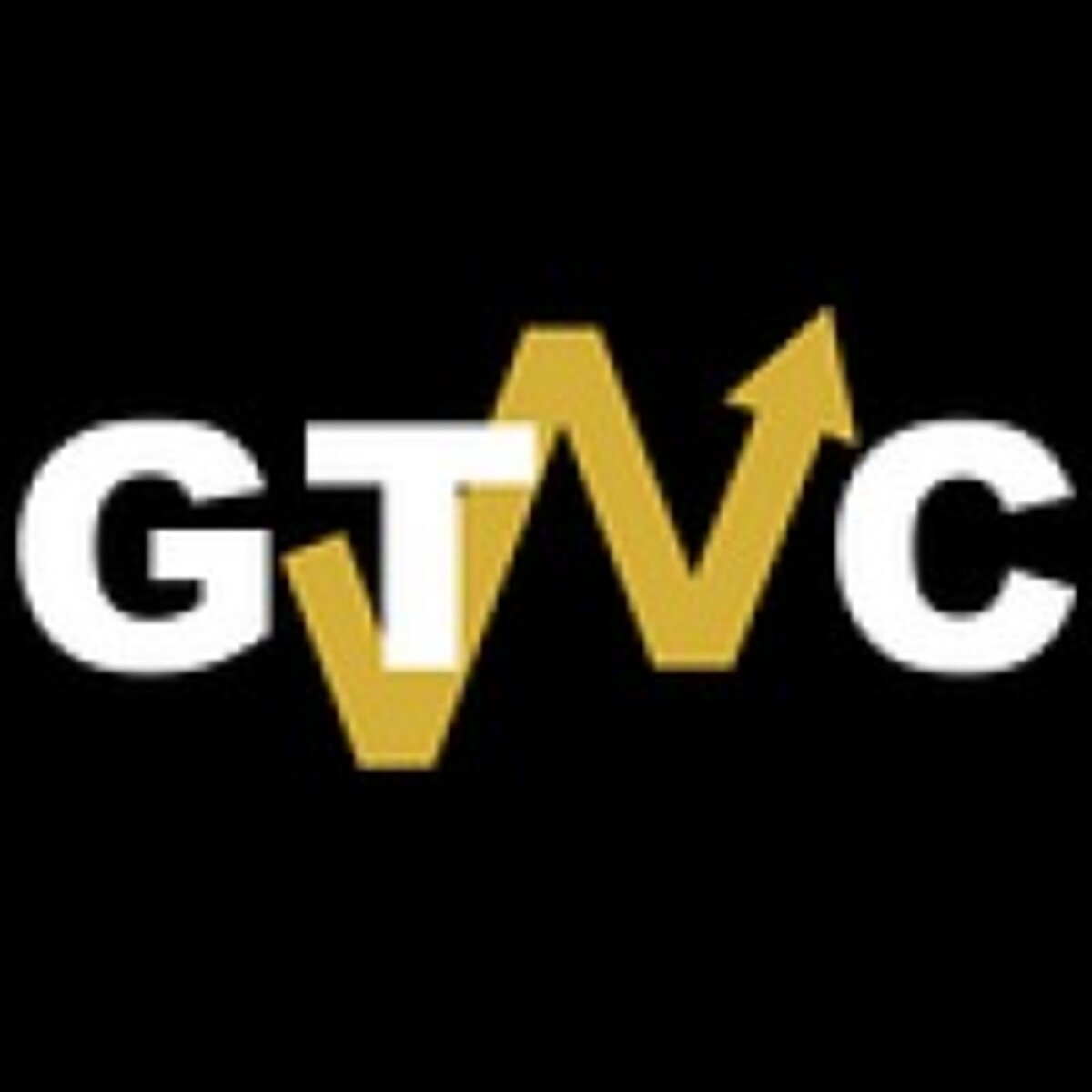 GT Venture Capital Club
