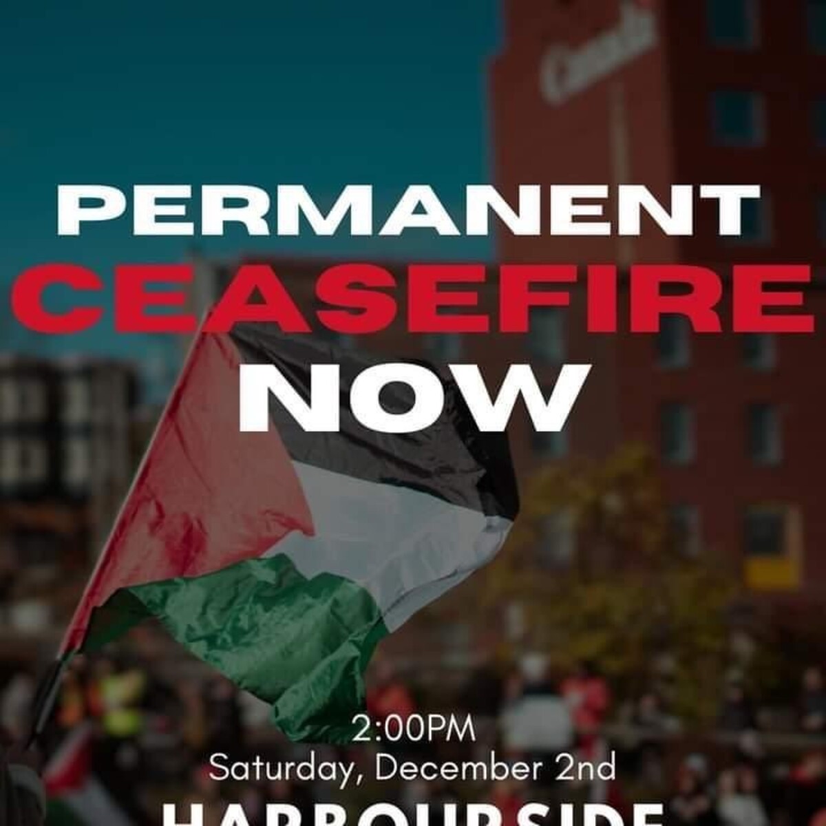 Palestine Action YYT