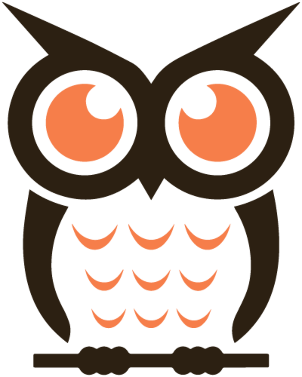The Wise Guy By Hoshi