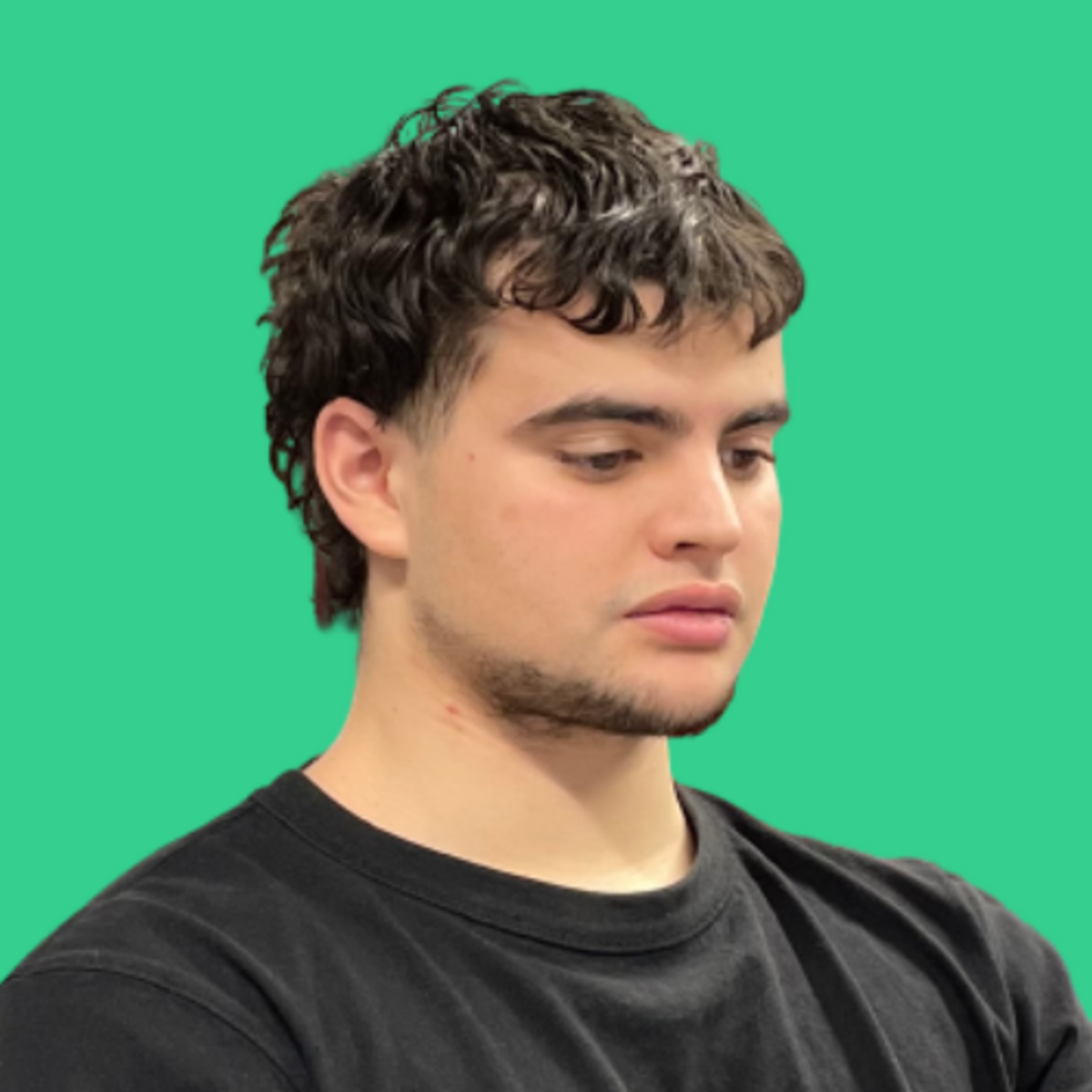 Ryan Arab