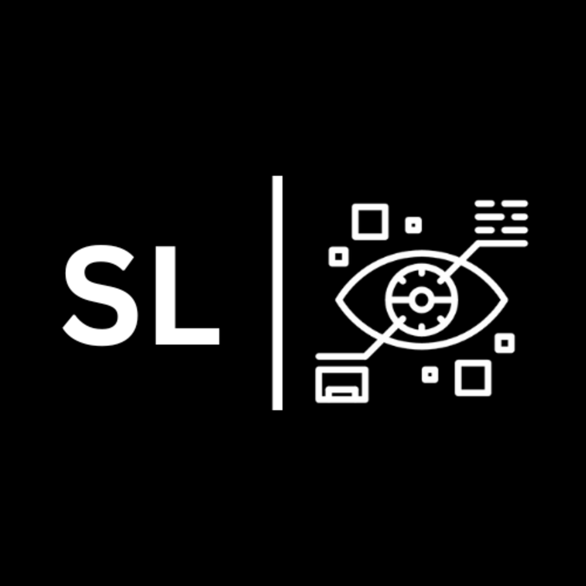 The Standard Lens